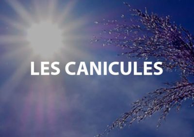 Les canicules
