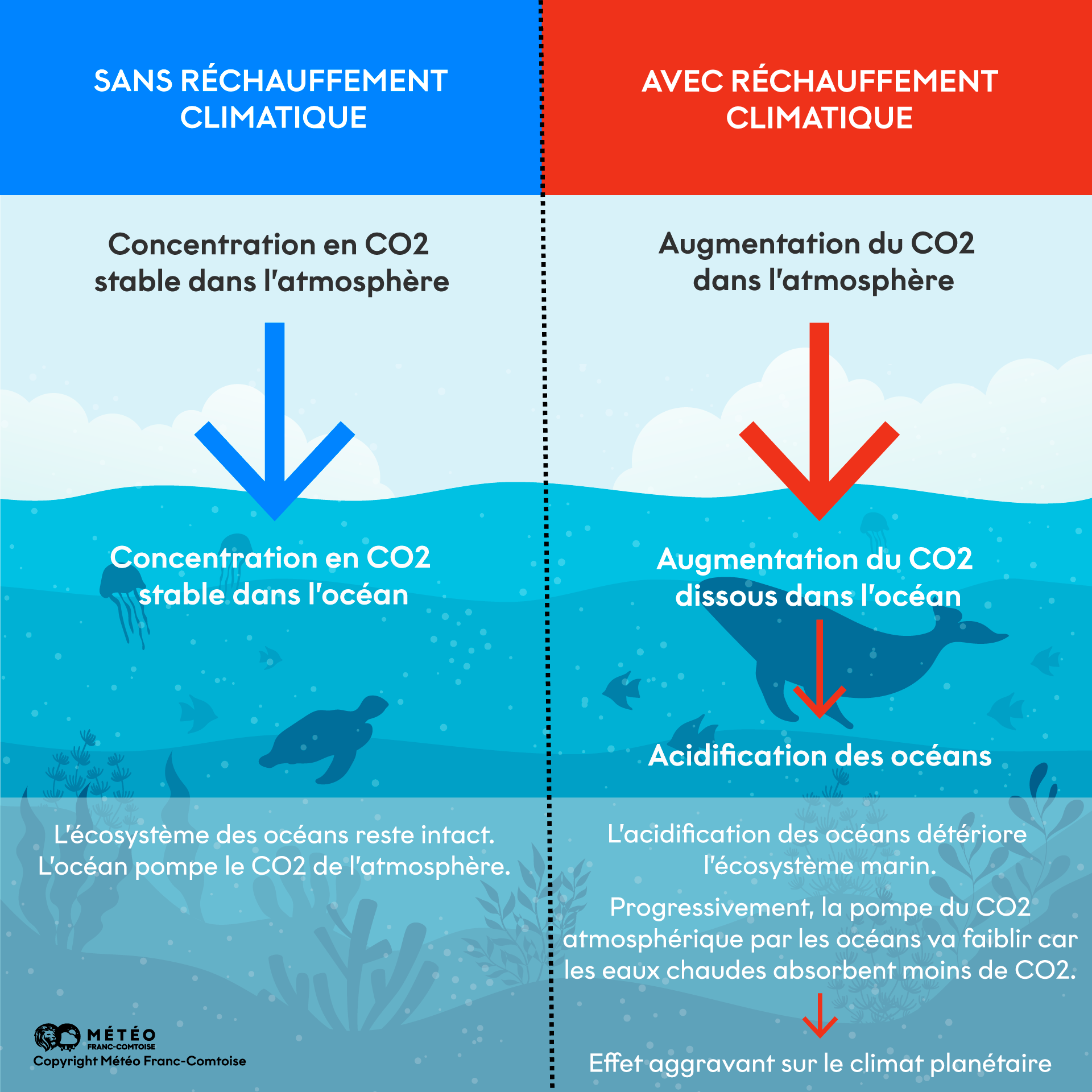 graph_oceans réchauffement_ocean