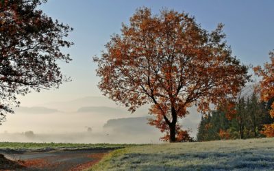 Franche-Comté : De +28°C ce vendredi à +13°C dès dimanche… Nous allons perdre quinze degrés !