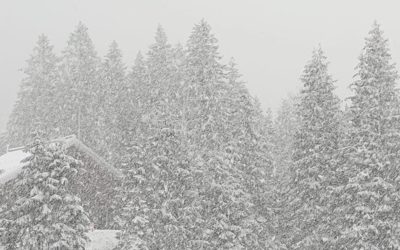 Haut-Jura : Retour de la neige ce mardi matin vers 1000m alors qu’il faisait encore +17°C à minuit
