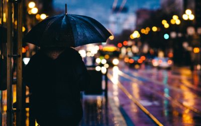 Noël en Franche-Comté : Pas de chutes de neige cette année, mais des averses de pluie et du vent !