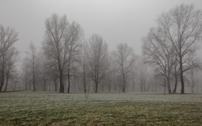 Besançon (25) : Ville la plus froide de France, ce Lundi avec +1°C seulement au thermomètre !