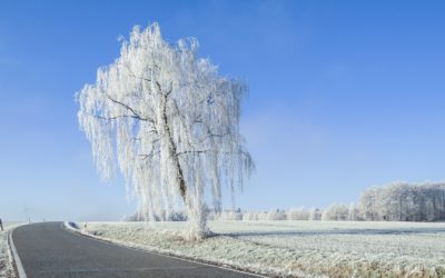 FROID : -3.9°C aux Pontets, -3.4°C aux Fourgs… Les gelées sont arrivées ce dimanche matin !