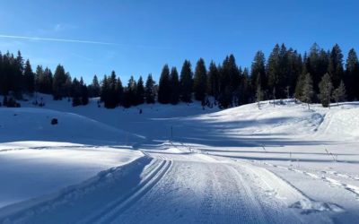 FROID : Encore -23,1°C à la Combe Noire (39) ce Dimanche (LocalSat) et -12,6°C aux Pontets (39)
