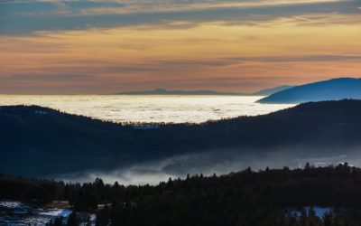 Nouvel an : +21,2°C à Etalans (25), du jamais vu au mois de Janvier en Franche-Comté…